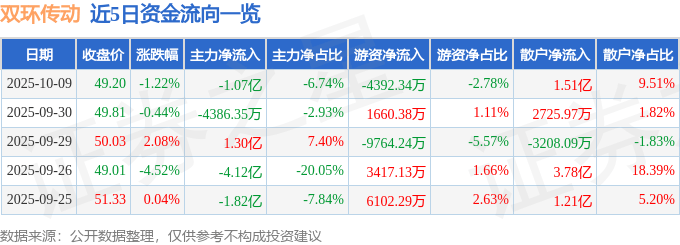 股票行情快报：双环传动（002472）10月9日主力资金净卖出1.07亿元