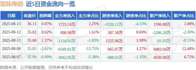 股票行情快报：双环传动（002472）8月13日主力资金净买入1723.24万元