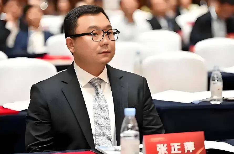 赛力斯张正源，辞去董事职务！