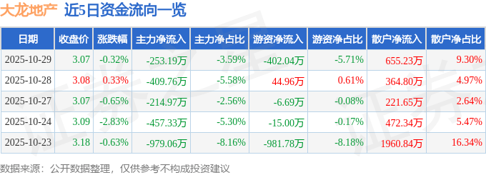 股票行情快报：大龙地产（600159）10月29日主力资金净卖出253.19万元