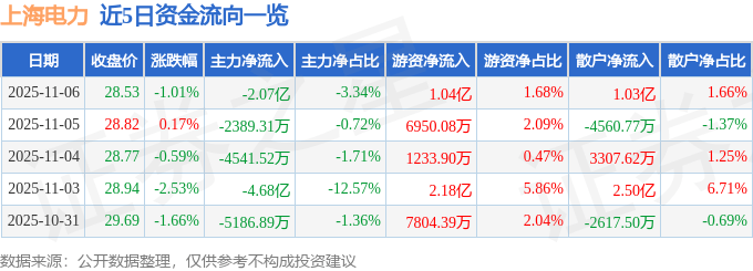 股票行情快报：上海电力（600021）11月6日主力资金净卖出2.07亿元