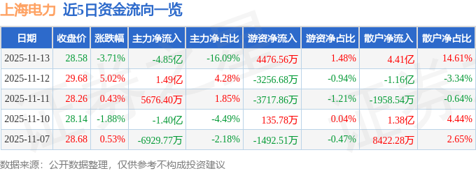 上海电力(600021)11月13日主力资金净卖出4.85亿元