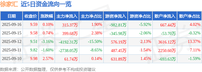 股票行情快报:徐家汇(002561)9月16日主力资金净买入315.37万元