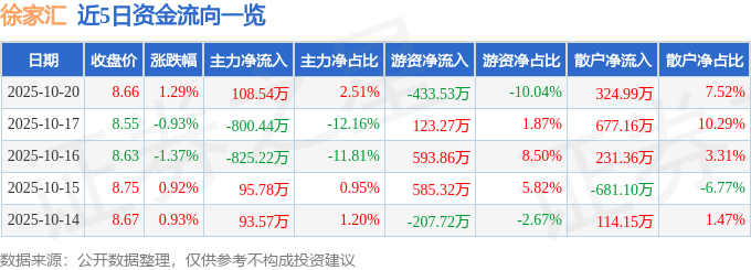 股票行情快报：徐家汇（002561）10月20日主力资金净买入108.54万元