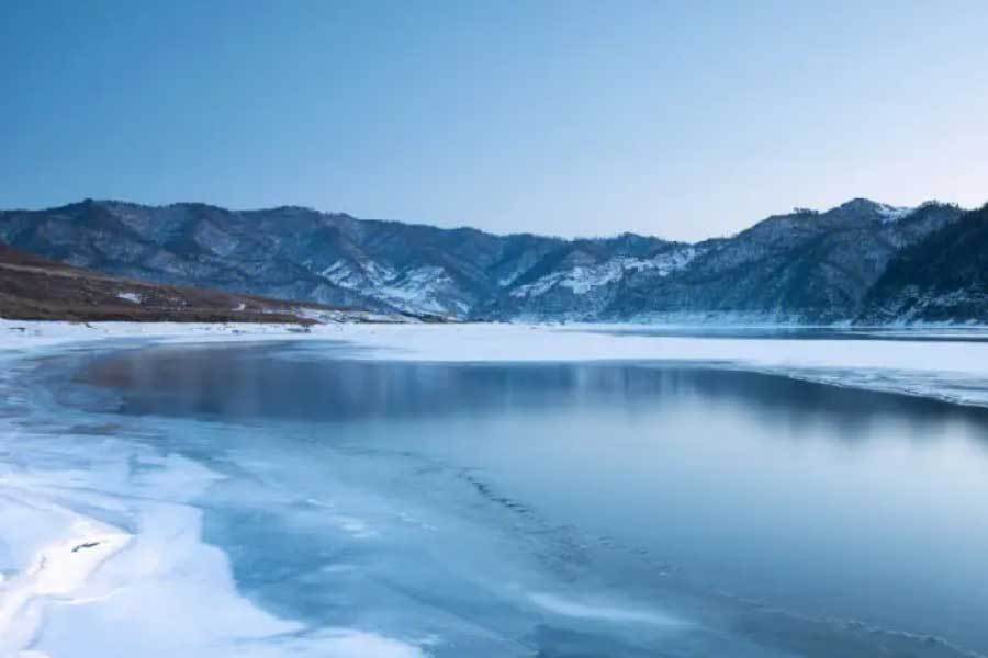 传统医学在国际受关注