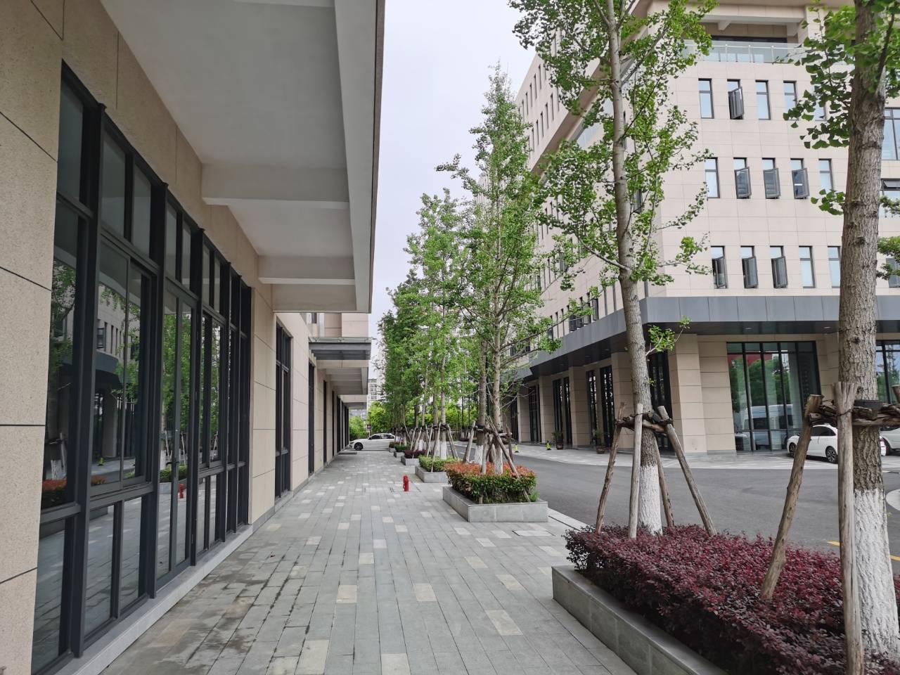 上海国际医学园区——基诺光学产业园