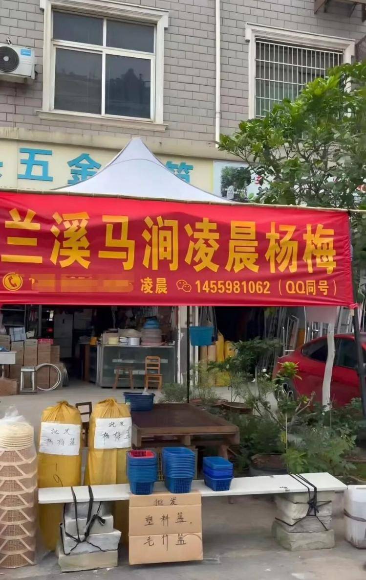 “泡水杨梅”曝光后：市场不收杨梅，收购商整车倒掉，农户看杨梅在枝头黑掉心疼哭