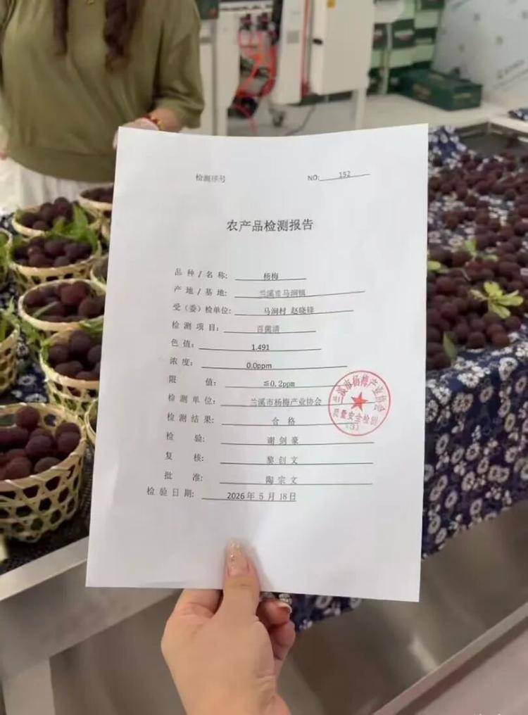 “泡水杨梅”曝光后：市场不收杨梅，收购商整车倒掉，农户看杨梅在枝头黑掉心疼哭