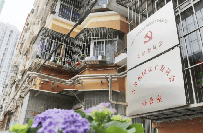 物业费6毛收不上,涨价后几乎收满!深圳一30多年老小区,改变如何发生?