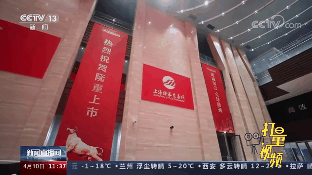 沪市证券(沪市证券账户怎样取消指定)